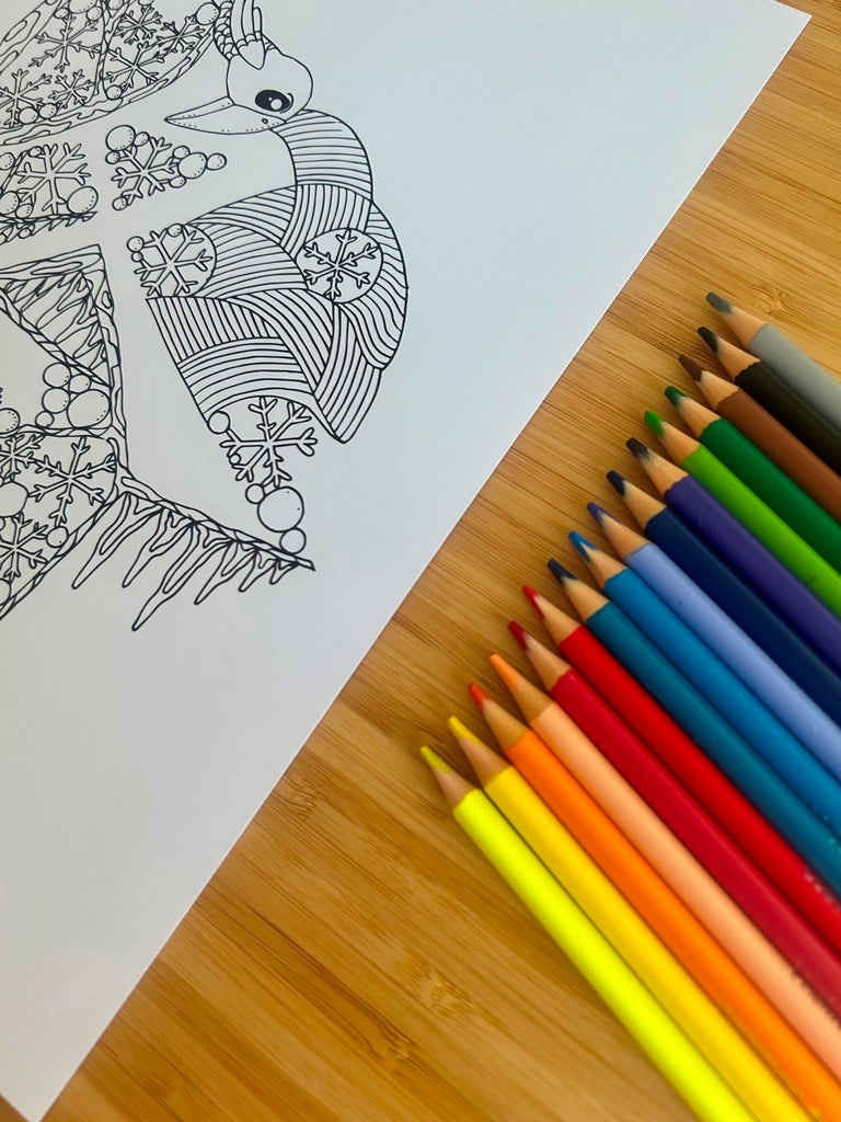 "Four Seasons" coloring book set