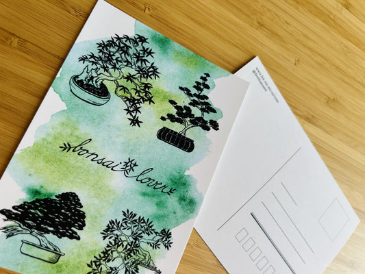 Geschenkpaket „Bonsai-Liebhaber“ (Papier)