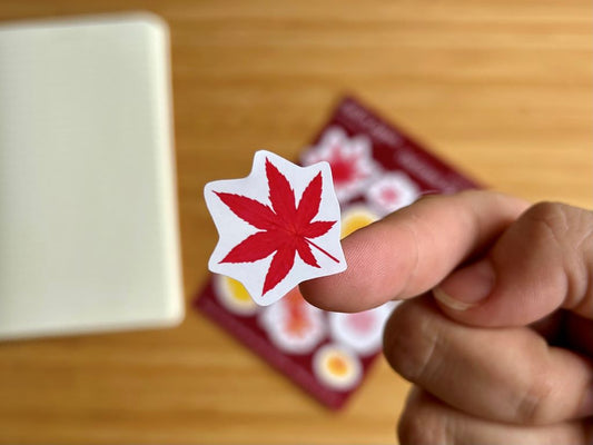 Geschenkpaket „Park in Herbstfarben“ aus Papier