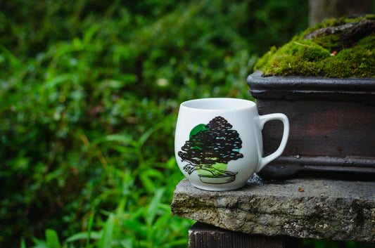 O KOLEKCI BONSAI LOVER
