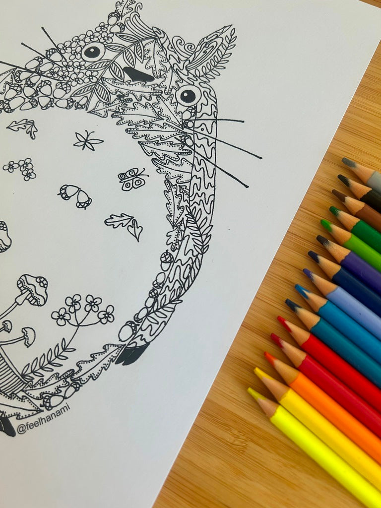 Coloring Book Set "Anime and Manga"