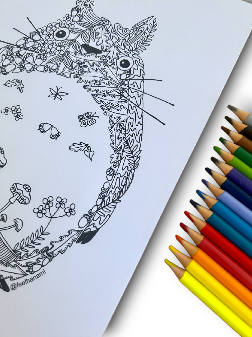 Coloring Book Set "Anime and Manga"