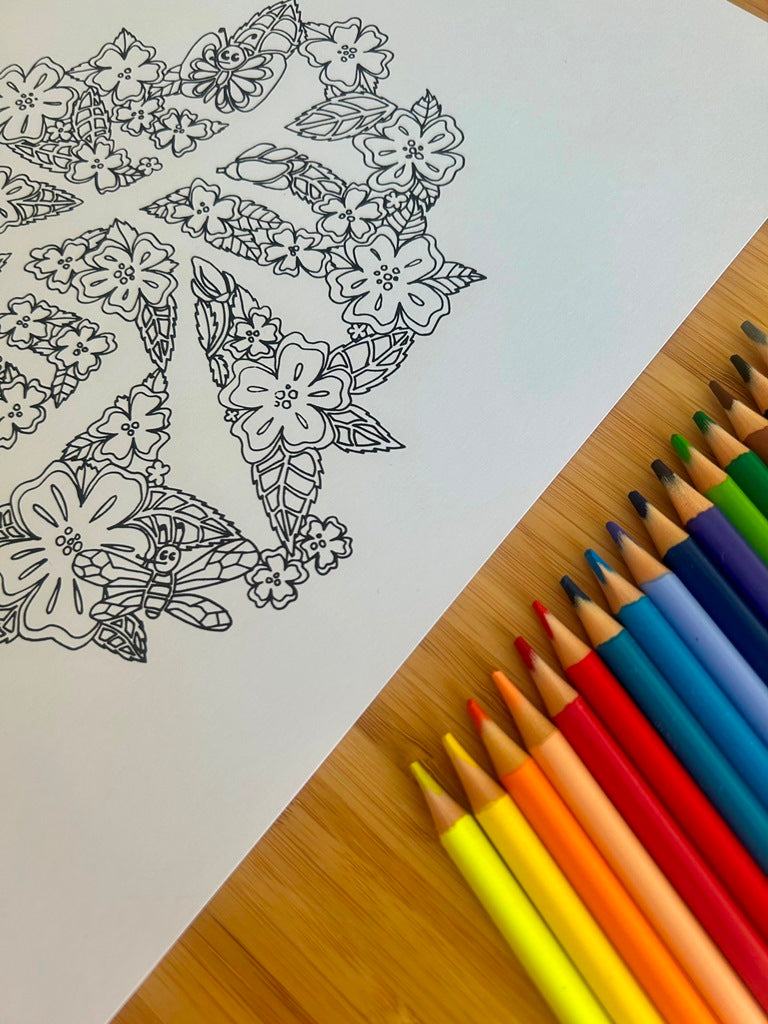 "Four Seasons" coloring book set