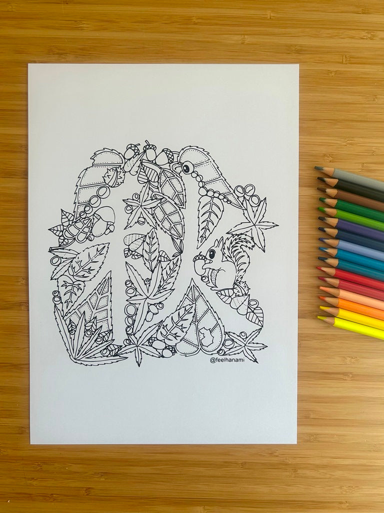 "Four Seasons" coloring book set