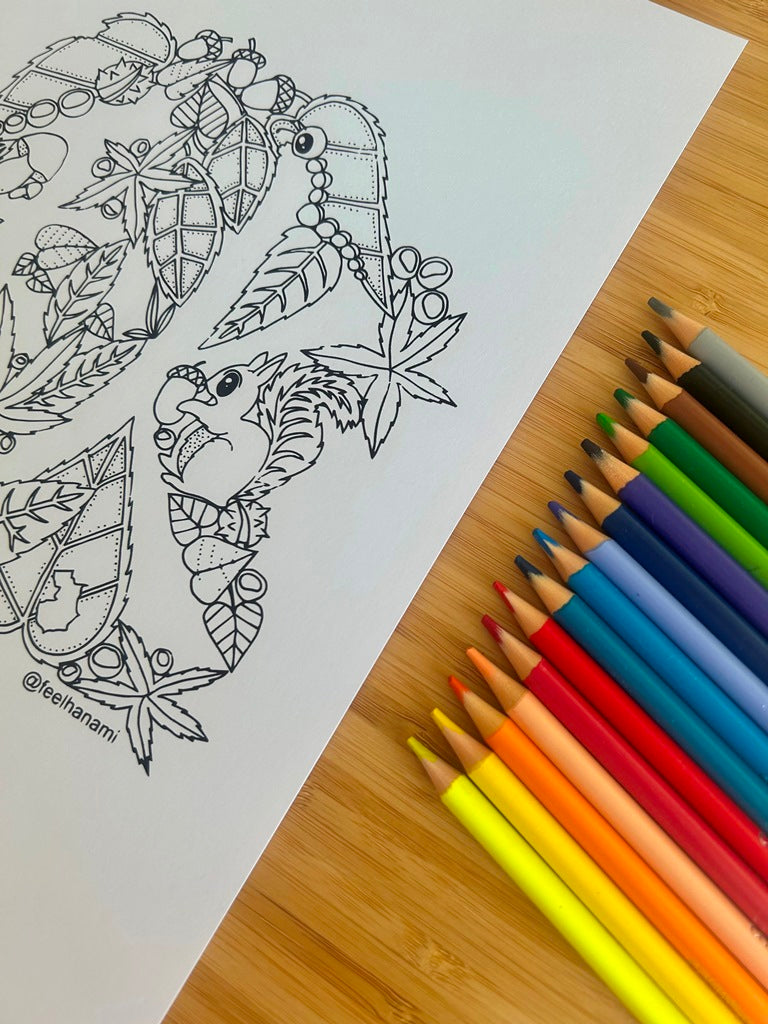 "Four Seasons" coloring book set