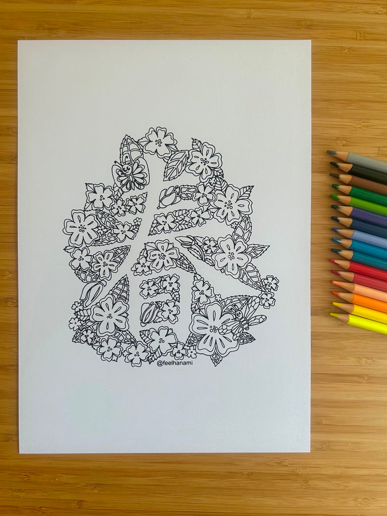 "Four Seasons" coloring book set