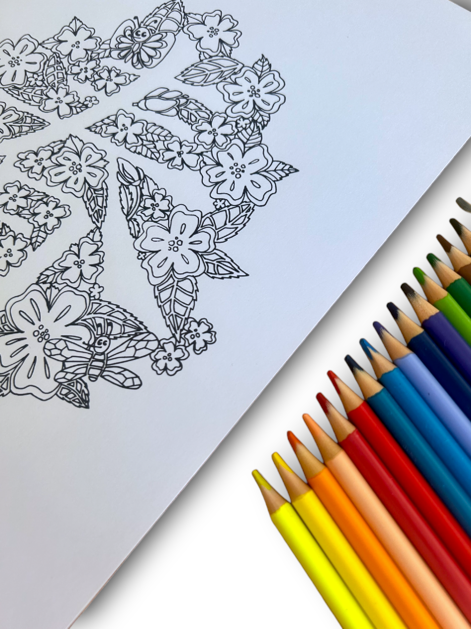 "Four Seasons" coloring book set