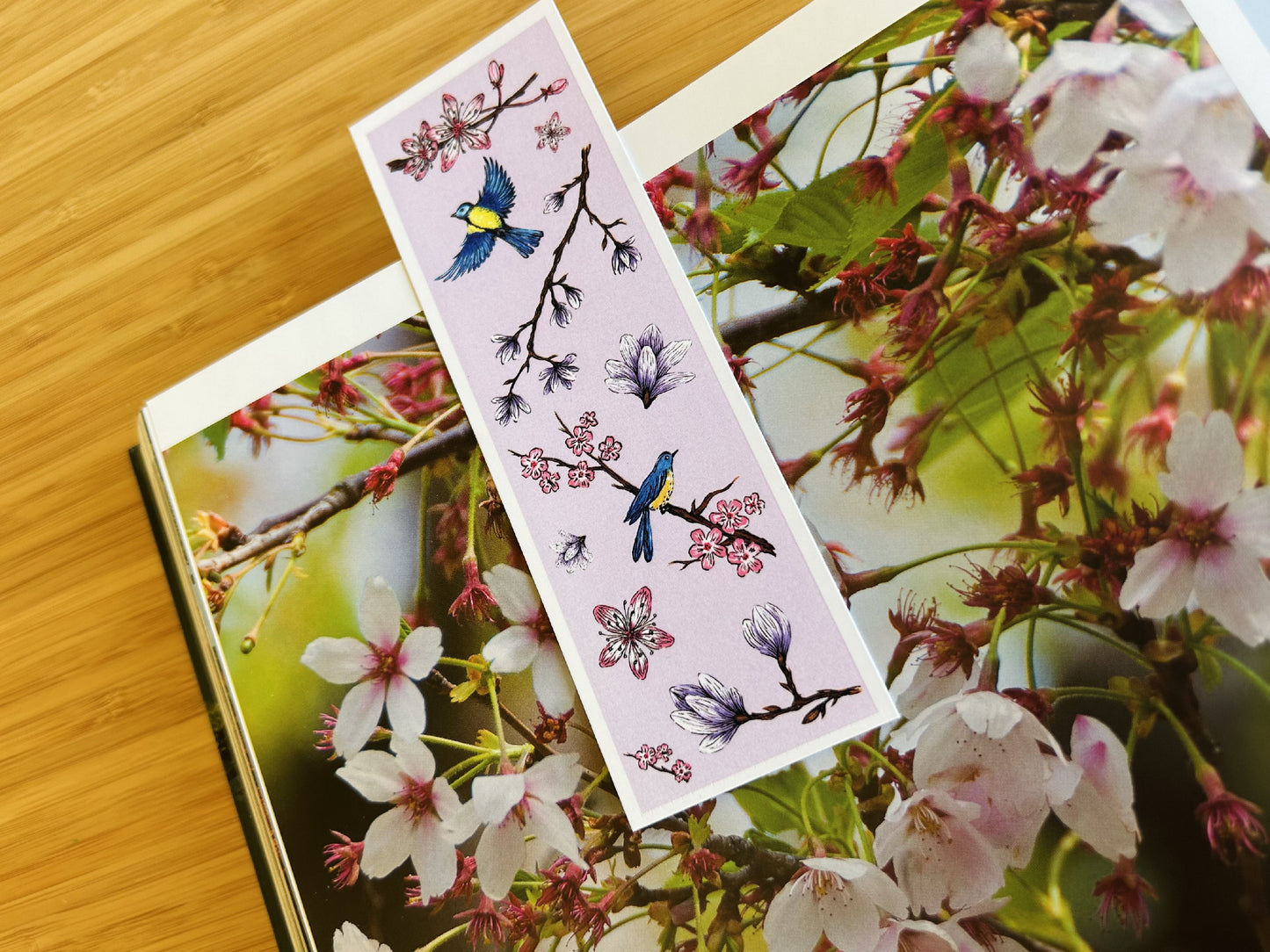 Gift set "Spring Japan" paper
