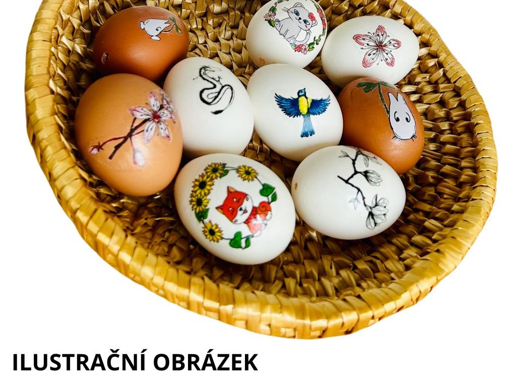 Dočasná tetovačka "Park v barvách podzimu"